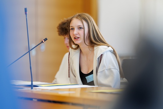 Landtag1.jpg